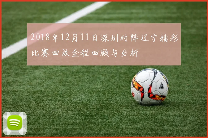 2018年12月11日深圳对阵辽宁精彩比赛回放全程回顾与分析