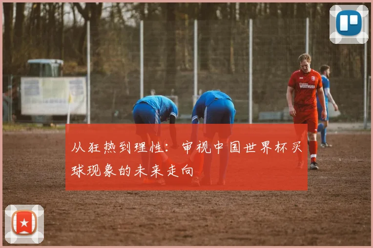 从狂热到理性:审视中国世界杯买球现象的未来走向