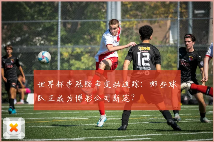 世界杯夺冠赔率变动追踪：哪些球队正成为博彩公司新宠？