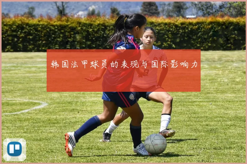 韩国法甲球员的表现与国际影响力