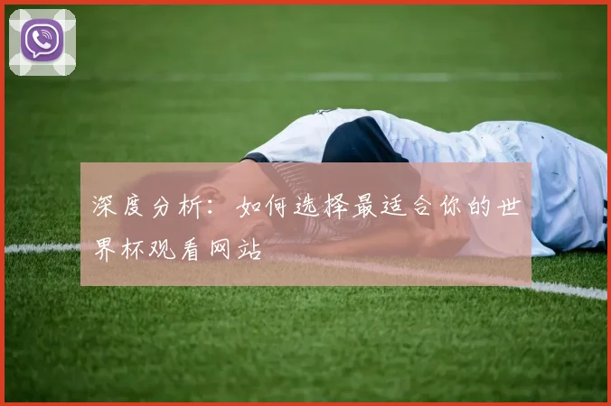 深度分析：如何选择最适合你的世界杯观看网站