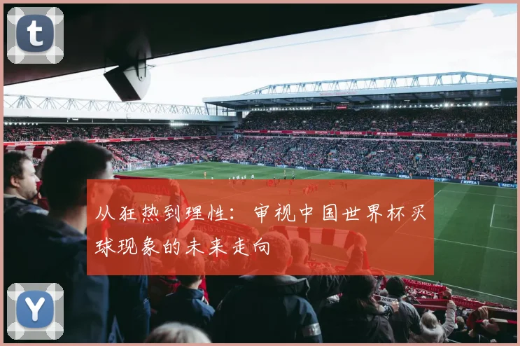 从狂热到理性：审视中国世界杯买球现象的未来走向