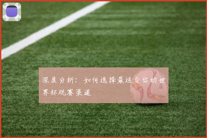 深度分析:如何选择最适合你的世界杯观赛渠道