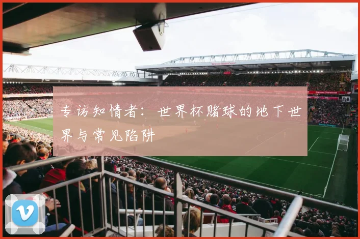 专访知情者：世界杯赌球的地下世界与常见陷阱