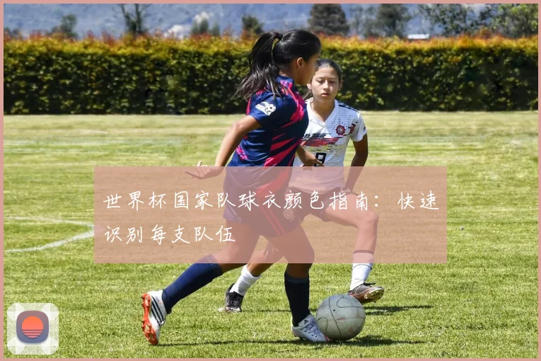 世界杯国家队球衣颜色指南:快速识别每支队伍