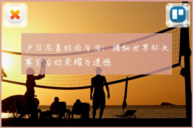 卢日尼基的雨与泪：揭秘世界杯决赛背后的荣耀与遗憾