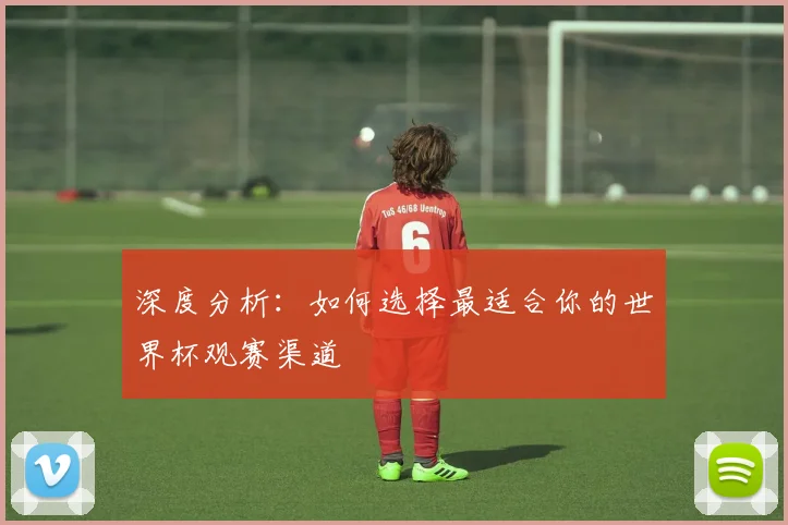 深度分析:如何选择最适合你的世界杯观赛渠道