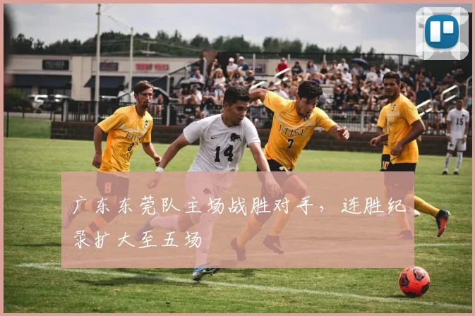 广东东莞队主场战胜对手,连胜纪录扩大至五场