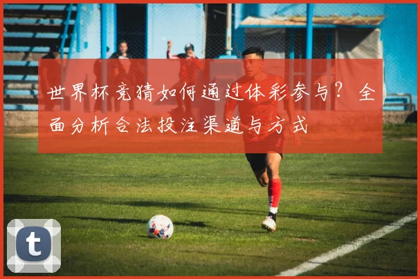 世界杯竞猜如何通过体彩参与？全面分析合法投注渠道与方式