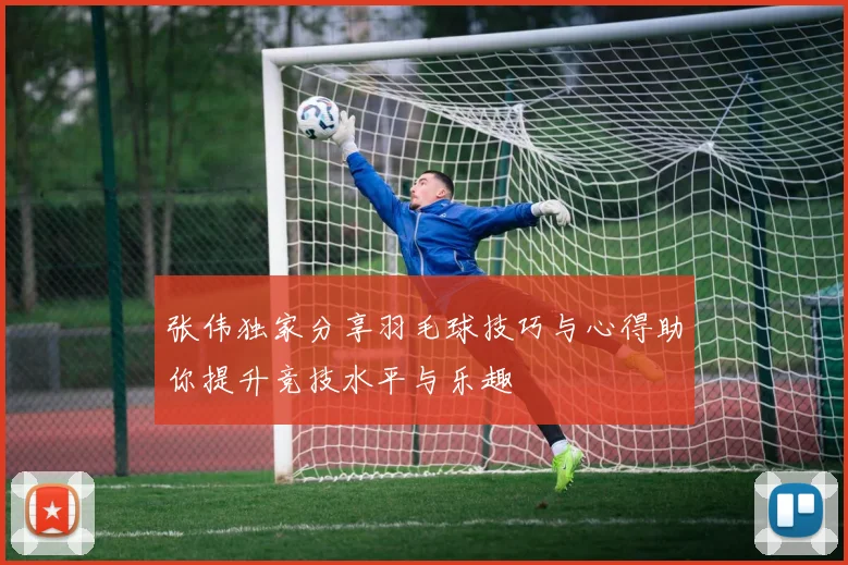 张伟独家分享羽毛球技巧与心得助你提升竞技水平与乐趣